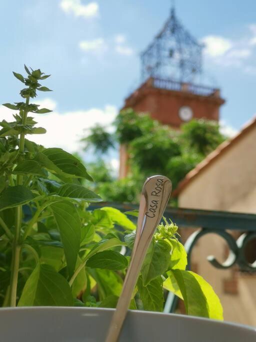 Casa Rosa, Un Petit Cocon Catalan Villa Ortaffa Exterior foto